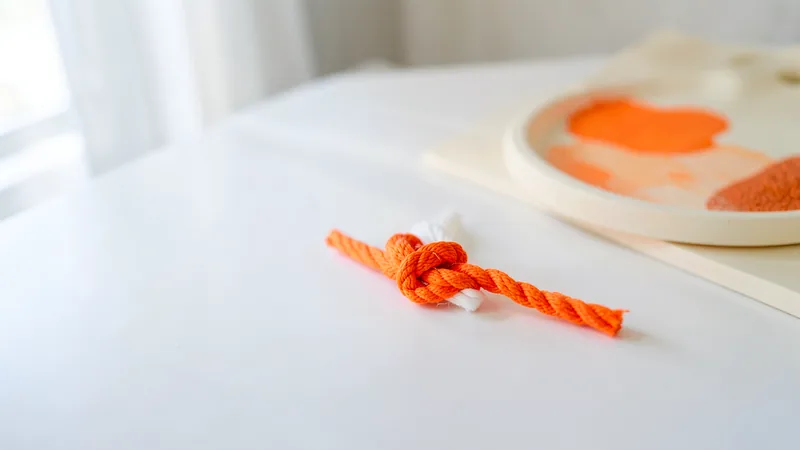 Photograph of a white rope and an orange rope tied in a knot